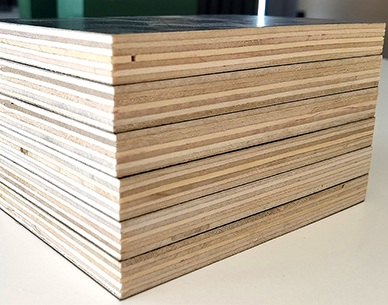 建筑模板侧面结构1